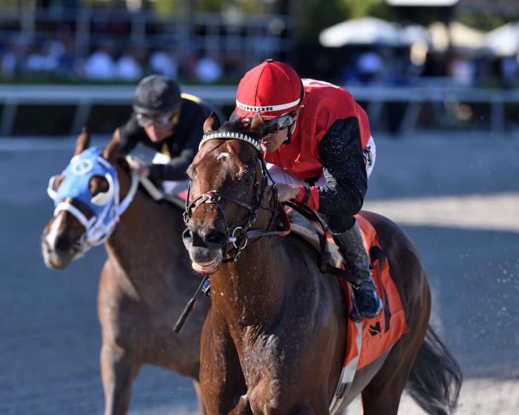 El de Bill Mott ganó la edición del 2023 (Photo Coady)