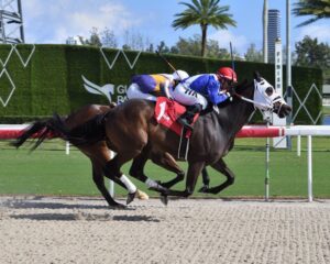 Tercer triunfo para el de colores argentinos en la Tapeta (Vídeo Hípico)