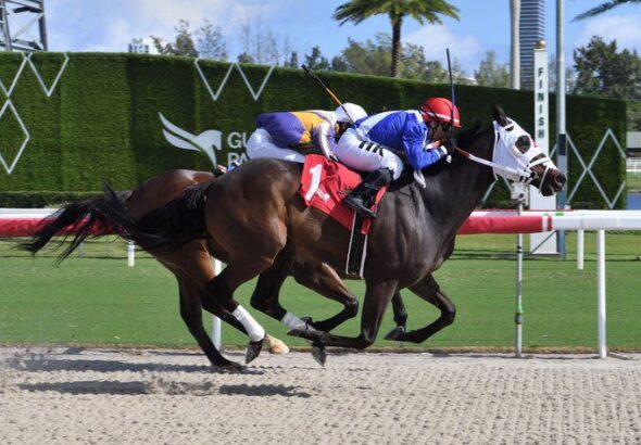 Tercer triunfo para el de colores argentinos en la Tapeta (Vídeo Hípico)